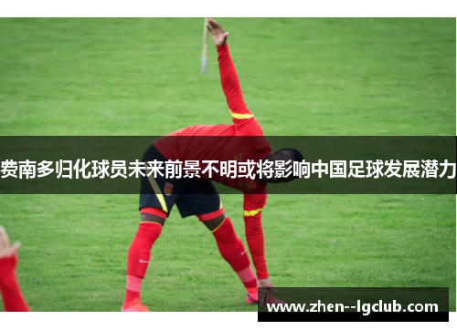 费南多归化球员未来前景不明或将影响中国足球发展潜力