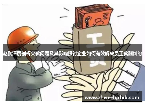 赵鹏深度剖析欠薪问题及其影响探讨企业如何有效解决员工薪酬纠纷